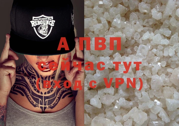 PSILOCYBIN Алзамай