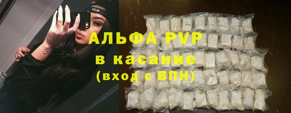 PSILOCYBIN Алзамай