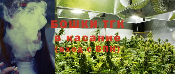 крисы Алексин