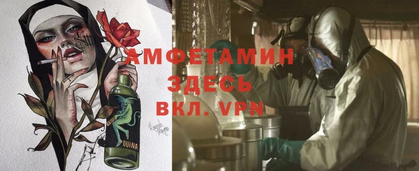 крисы Алексин