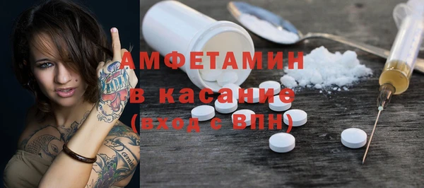 PSILOCYBIN Алзамай