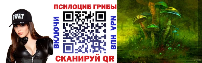 даркнет сайт  Пугачёв  Псилоцибиновые грибы MAGIC MUSHROOMS 
